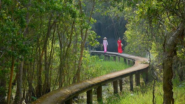 Con đường xuyên rừng đước dài 5km được thiết kế rất độc đáo