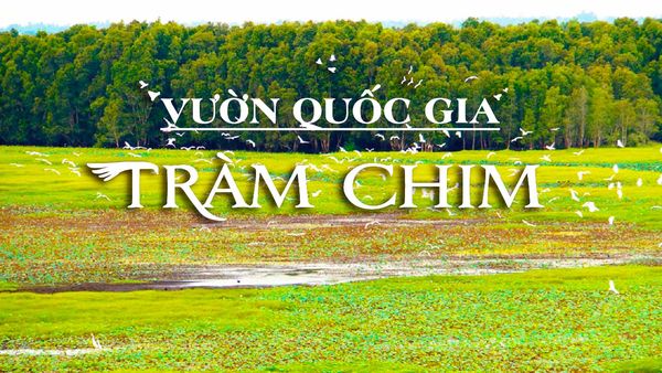Địa điểm thu hút khách du lịch nhất ở miền Tây Nam Bộ 5