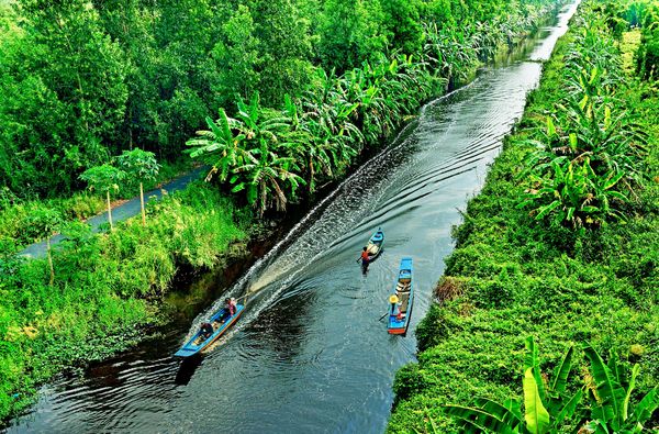 U Minh Hạ là địa điểm thu hút khách du lịch nhất ở miền Tây Nam Bộ